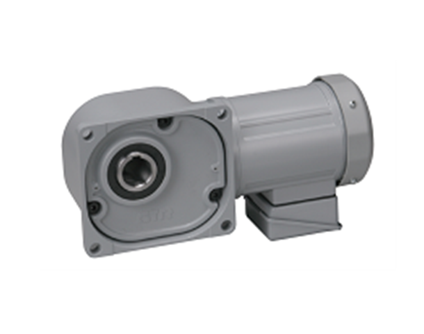 Động cơ NISSEI F3S35N20-MR08TNNTB2X